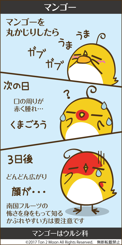 ton 2 moon コットリーノ